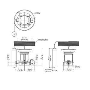 Elemento Termostatico Valvula Expansion Danfoss R22/R407c Tex12 067b3210