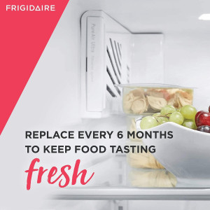 Filtro Nev. Frigidaire De Aire Paultra